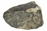 Chelyabinsk Meteorite ( g) - Witnessed Fall #263523-2